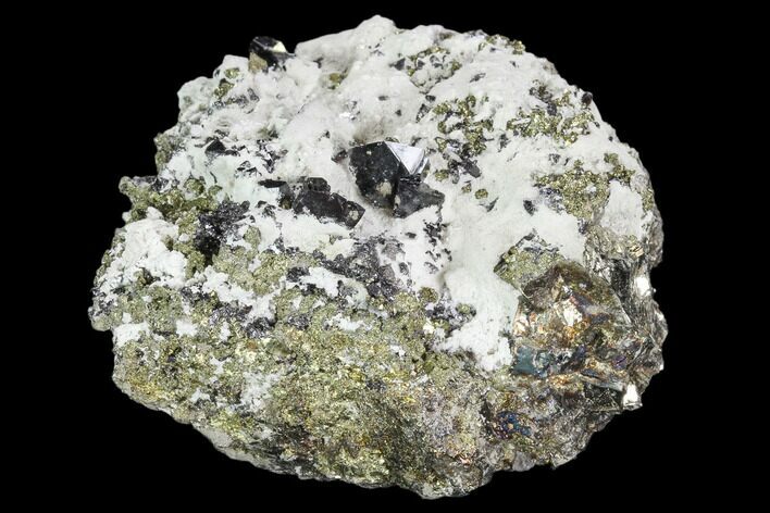 Chalcopyrite, Pyrite, Sphalerite and Quartz Association - Peru #102588